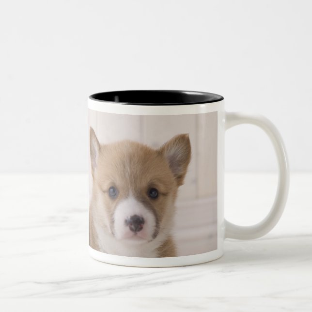 Two Welsh Corgi Sitting Two-Tone Coffee Mug (Right)