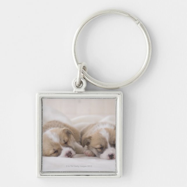 Two Welsh Corgi Sleeping Keychain (Front)