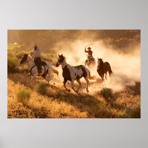 Two western cowboys riding horses roping wild hor poster