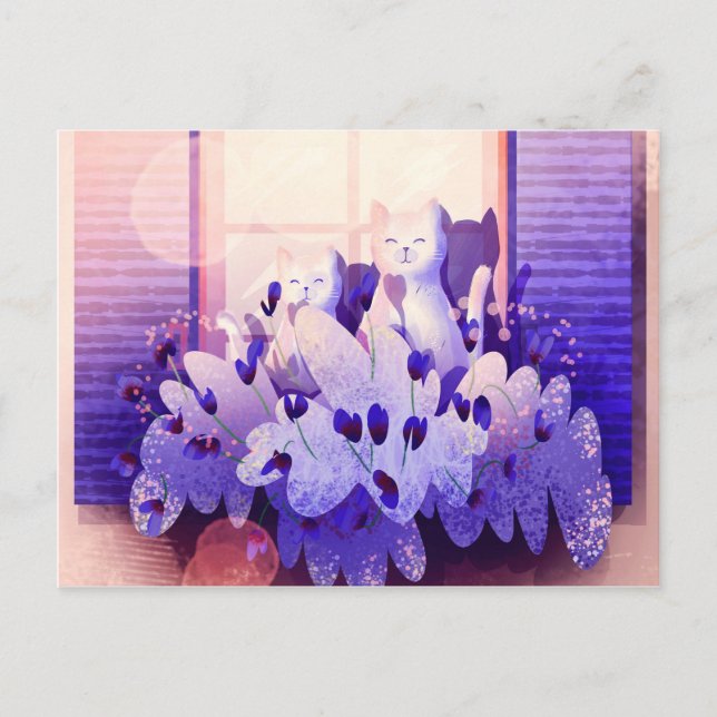 Two white cats sitting at the window at the sunset postcard (Front)