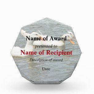 Two White Ducks Award