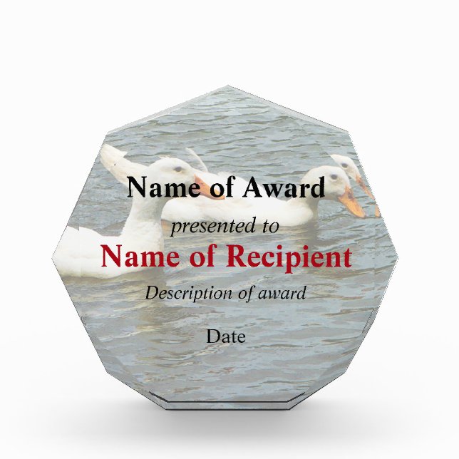 Two White Ducks Award (Front)