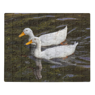 Two White Ducks. Roath Park Lake, Cardiff, Wales Jigsaw Puzzle