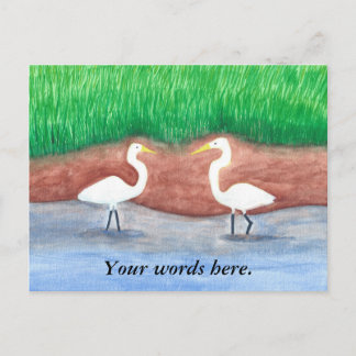 Two White Egrets Grassy Shore Postcards Template