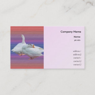 two white geese in color background business card