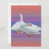 two white geese in fancy background (Back)
