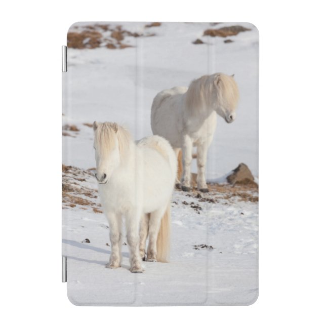 Two White Icelandic Horses iPad Mini Cover (Front)