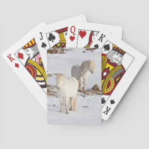 Two White Icelandic Horses Poker Cards