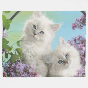 TWO WHITE KITTENS FLEECE BLANKET