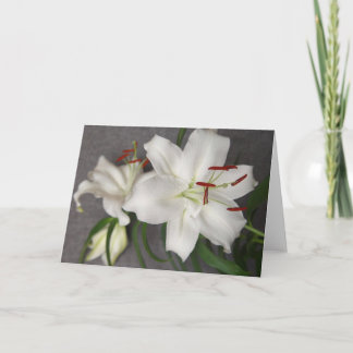 Two White Lilies Card