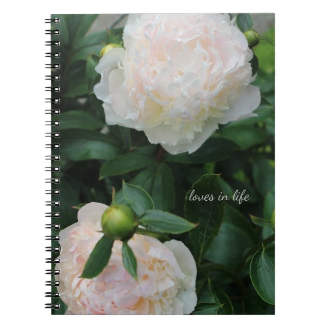 Two White Peonies Notebook (Front)