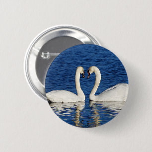 Two White Swans Form Heart Sign Pinback Button
