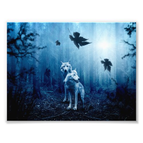 Two white wolves in the wild forest photo print