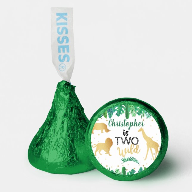 Two Wild Boys Second Birthday Party Hershey®'s Kisses® (Front)