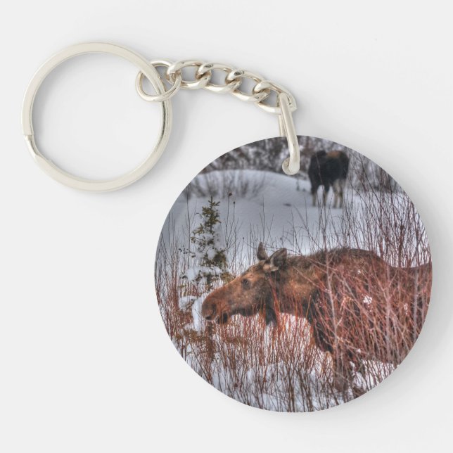 Two Wild Canadian Moose in Winter Marsh Keychain (Front)