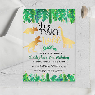 Two Wild Dinosaur Boys 2nd Birthday Acrylic Invitations
