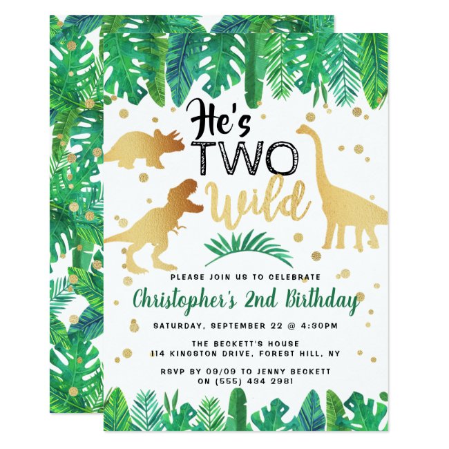 Two Wild Dinosaur Boys 2nd Birthday Invitation