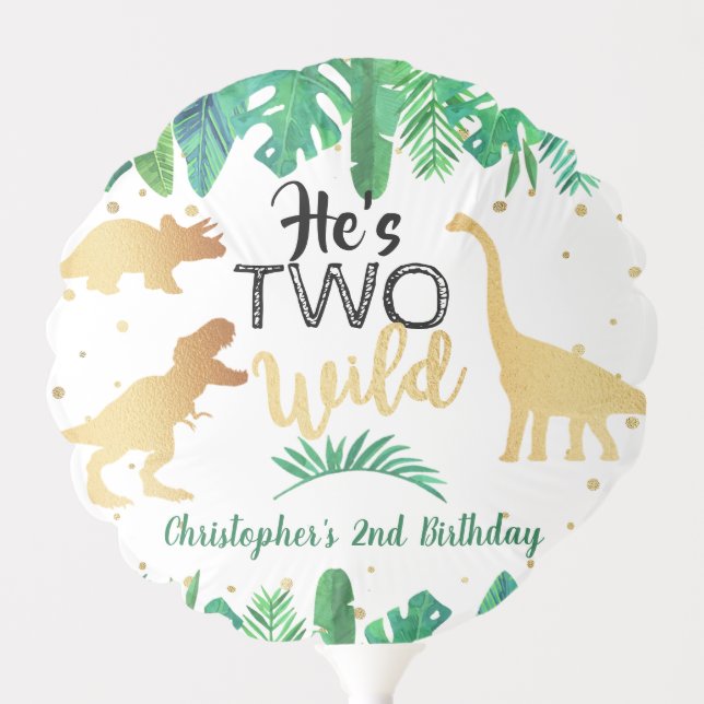Two Wild Dinosaur Boys 2nd Birthday Party Balloon (Front)