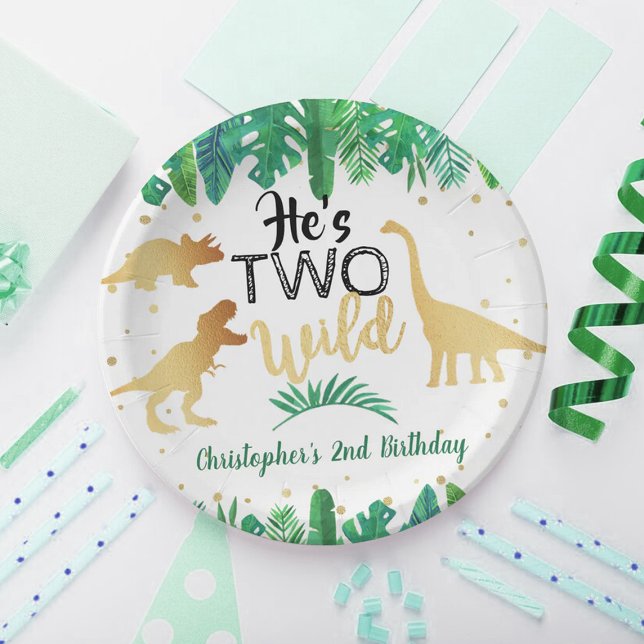 Two Wild Dinosaur Boys 2nd Birthday Party Paper Plates (Creator Uploaded)