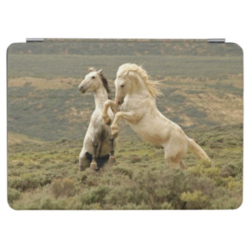 Two Wild Stallions Fight iPad Air Cover