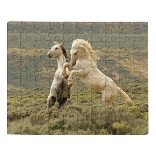 Two Wild Stallions Fight Jigsaw Puzzle (Puzzle Horizontal)