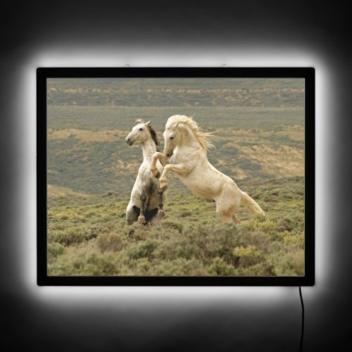 Two Wild Stallions Fight LED Sign