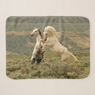 Two Wild Stallions Fight Sherpa Blanket