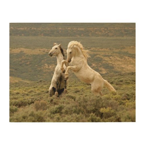 Two Wild Stallions Fight Wood Wall Art
