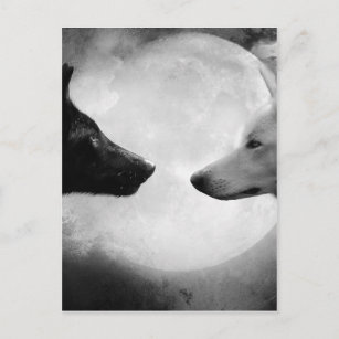 Two wolves facing each other postcard