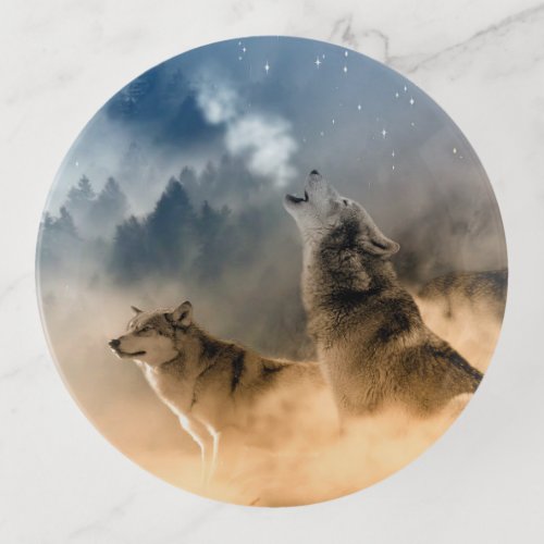 Two Wolves In the Wild Trinket Tray