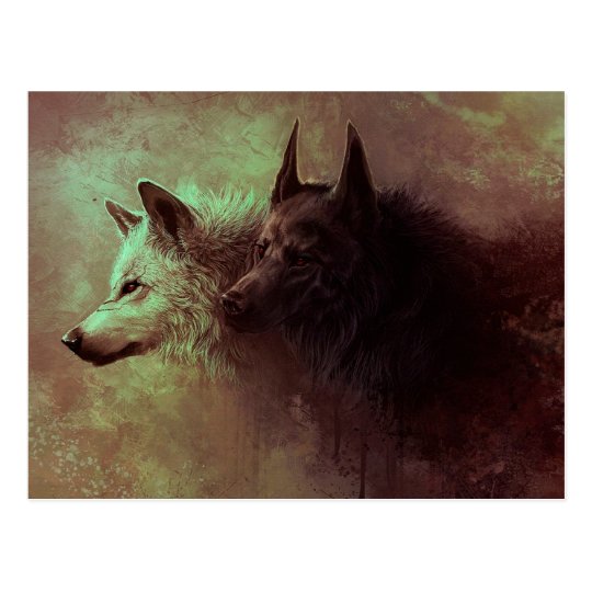 Two wolves themes picture