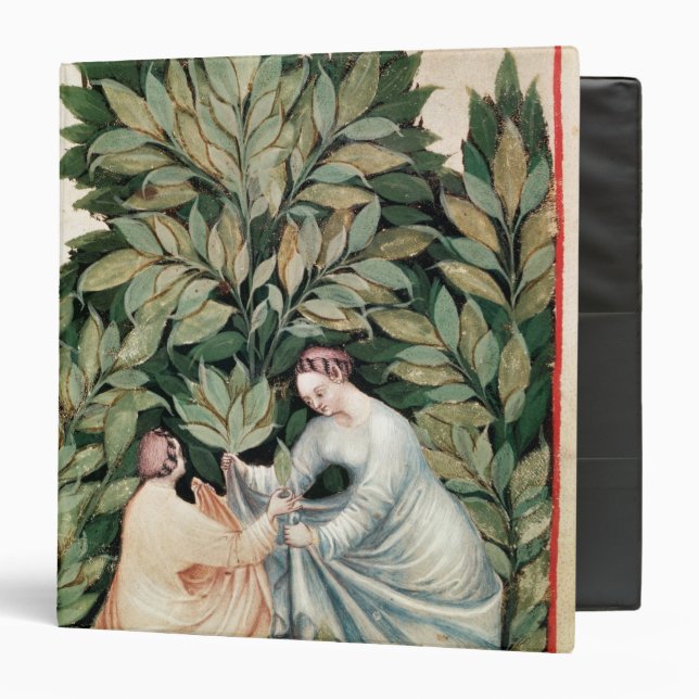 Two women picking sage, from 'Tacuinum Binder (Front/Inside)