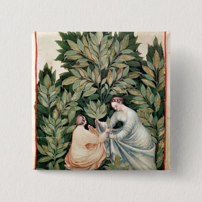 Two women picking sage, from 'Tacuinum Button (Front)