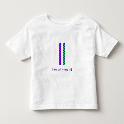 Two Year Old Birthday T_Shirt