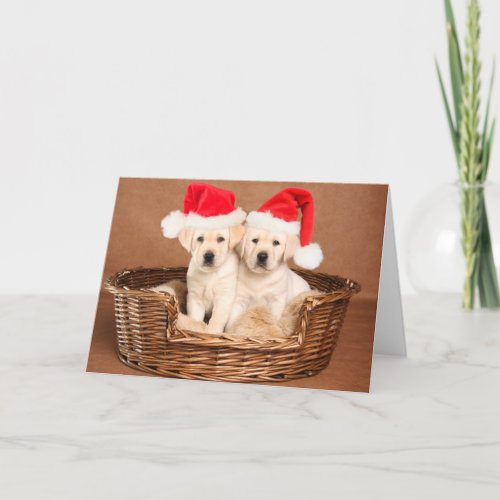 Two Yellow Lab Christmas Puppies Holiday Card