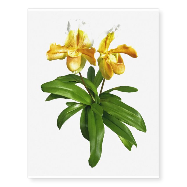 Two Yellow Lady Slipper Orchids Temporary Tattoos (Front)