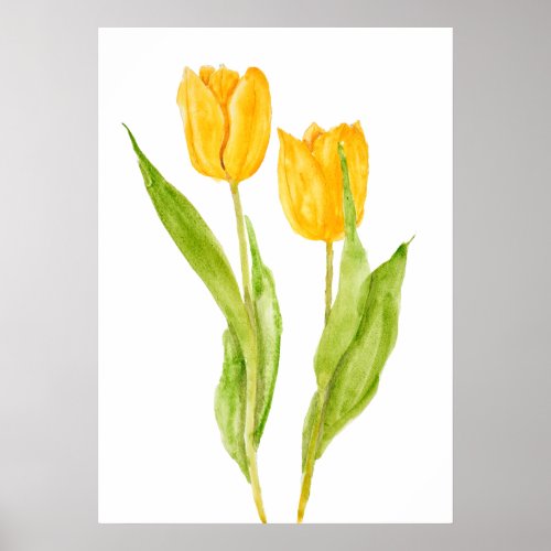 two yellow tulips watercolor  poster
