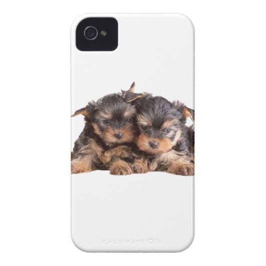 Two Yorkie Puppies Case-Mate iPhone Case (Back)