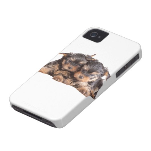 Two Yorkie Puppies Case-Mate iPhone Case (Bottom)