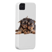 Two Yorkie Puppies Case-Mate iPhone Case (Back/Right)