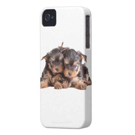 Two Yorkie Puppies Case-Mate iPhone Case (Back Left)