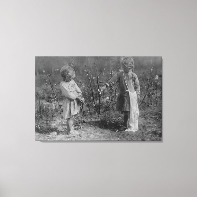 Two Young Girls Picking Cotton Photograph Canvas Print (Front)