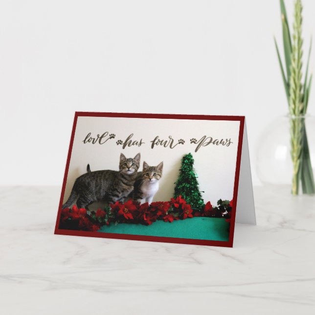 Two Young Kittens with Christmas Decor  Holiday Card (Front)