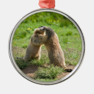 two young marmots metal ornament