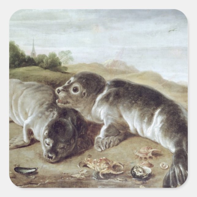 Two Young Seals on the Shore, c.1650 (Front)