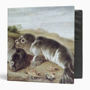 Two Young Seals on the Shore, c.1650 Binder