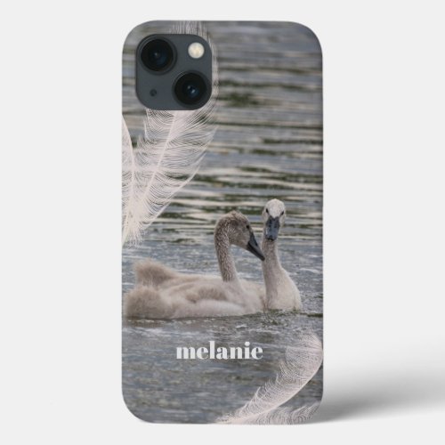 Two Young Swans  Feathers iPhone  iPad case