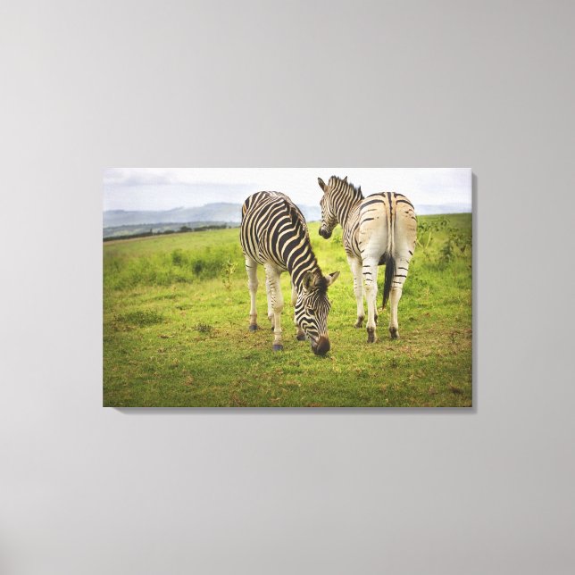 Two zebras, South Africa Canvas Print (Front)