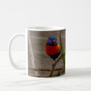 Two zoo birds. Love one another, John 15:12 Coffee Mug