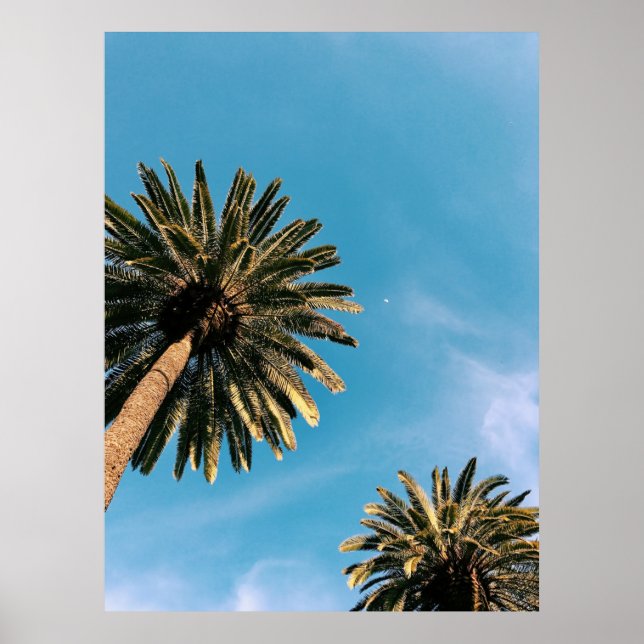 Twp palm trees under blue sky at daytime poster (Front)